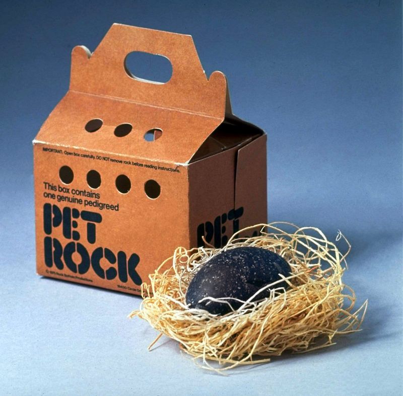 Pet Rocks Craze