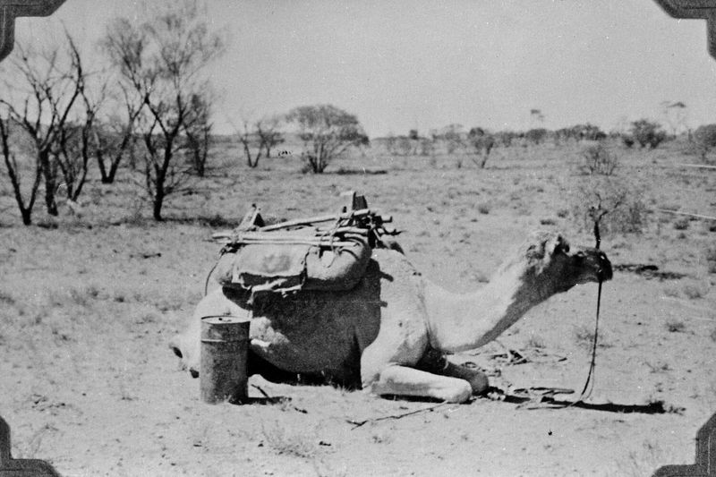 Photo of an Australian Outback Expedition