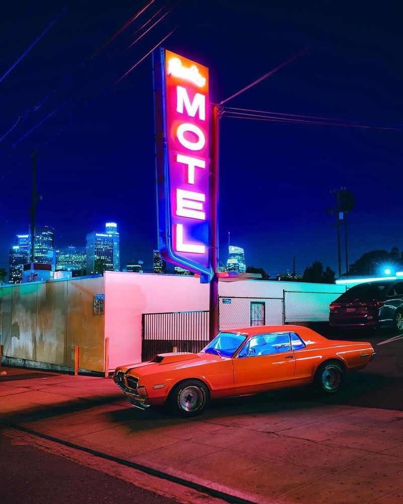 The Neon Dream