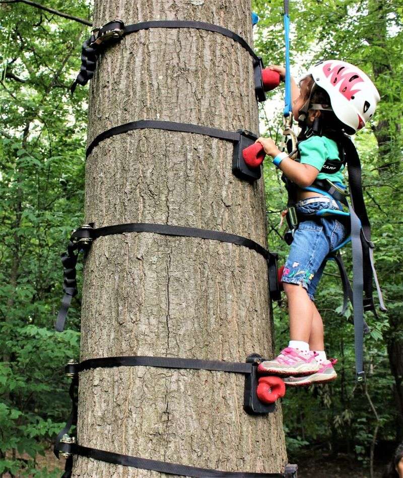 Tree Climbing