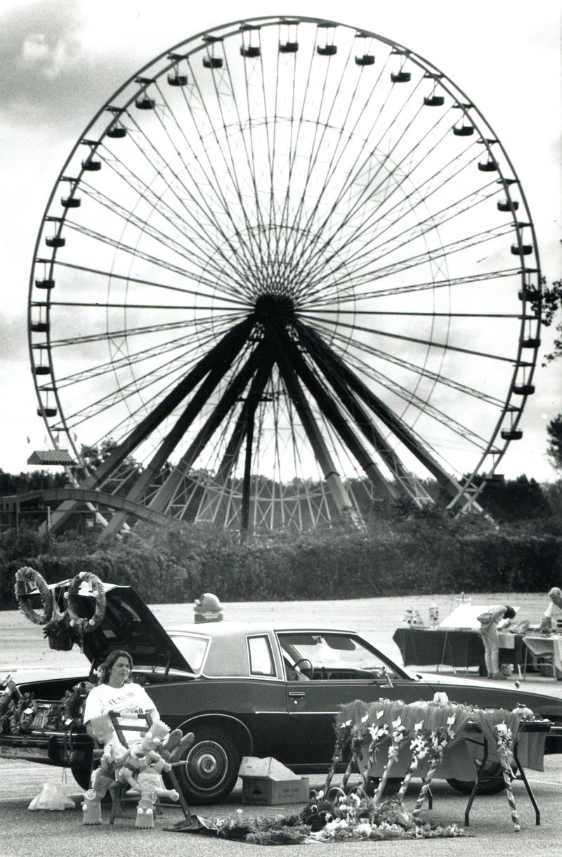 Amusement Park Antics