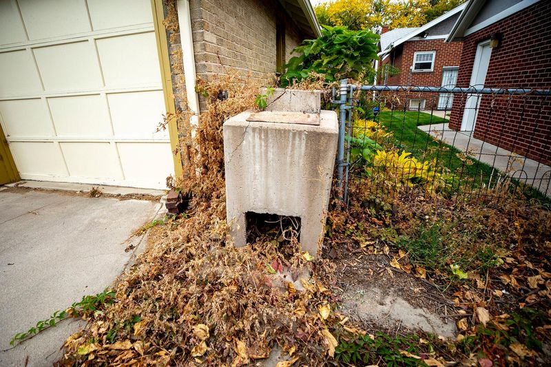 Backyard Incinerators