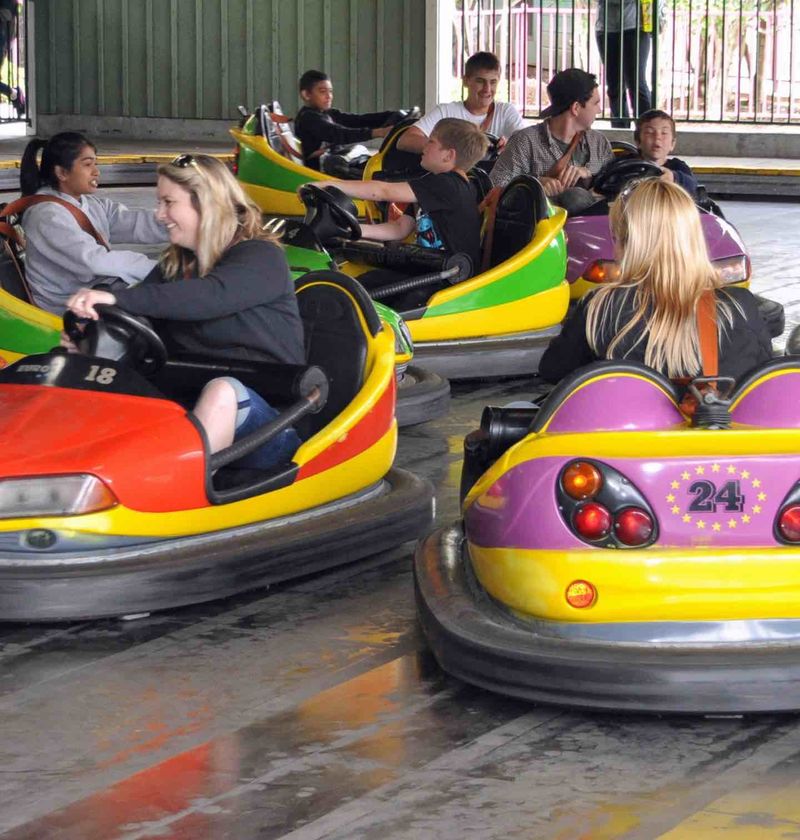 Bumper Cars