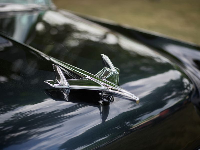 Hood Ornaments