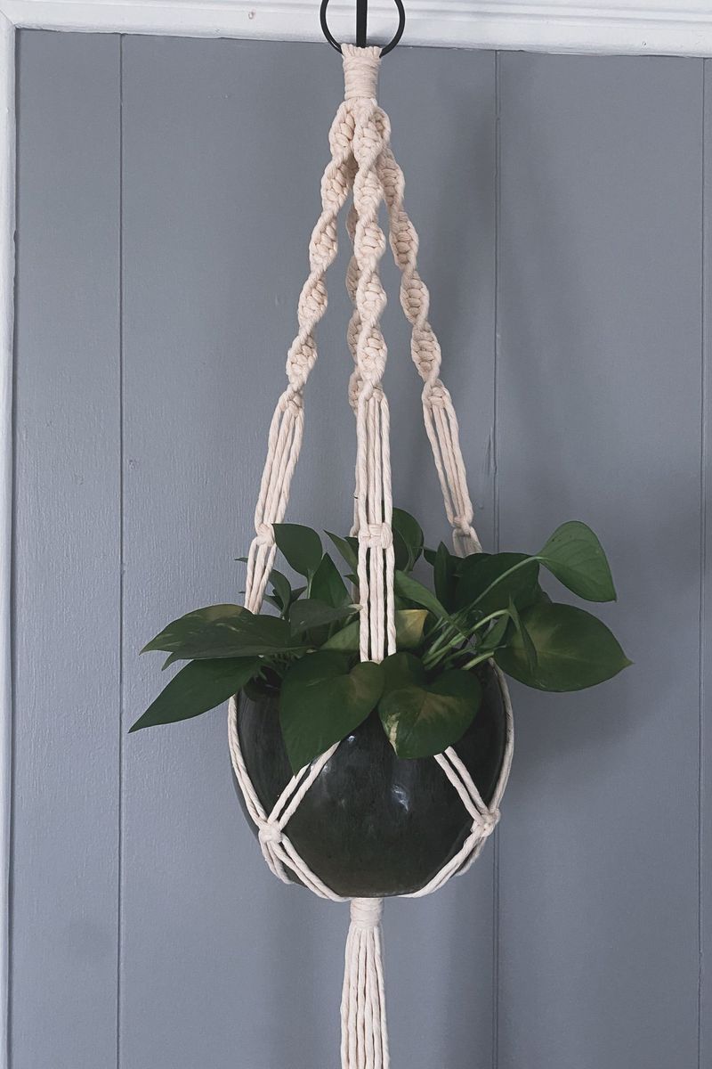 Macramé Plant Hangers