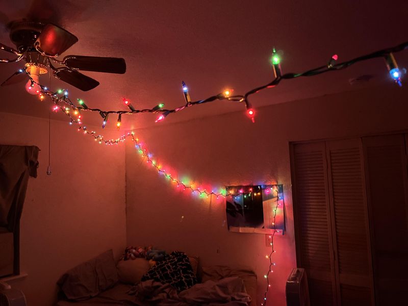 String Lights or Novelty Lamps