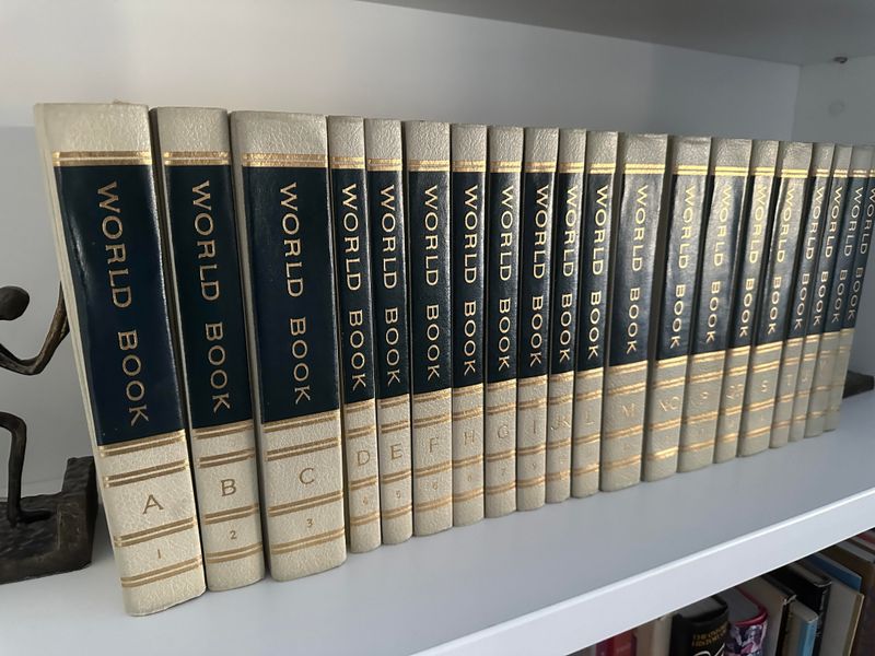 Door-to-Door Encyclopedia Salesperson