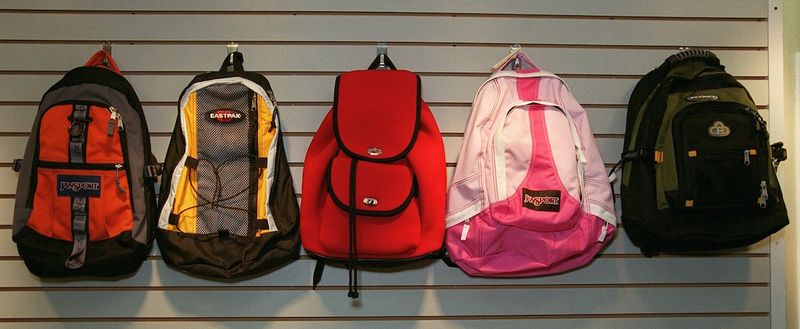 The Iconic Backpacks