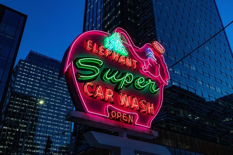 Pink Elephant Car Wash Sign