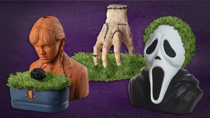 The Infamous Chia Pet