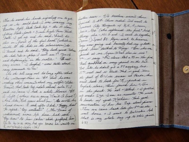 Detailed Personal Journals Shared With Class