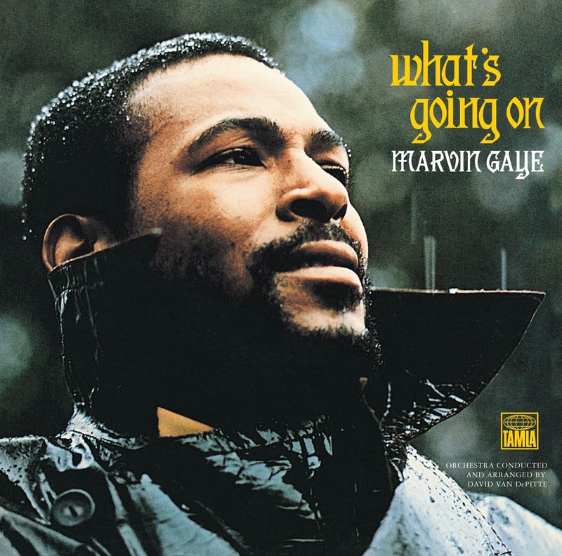 Marvin Gaye's Passionate 'Mercy Mercy Me'