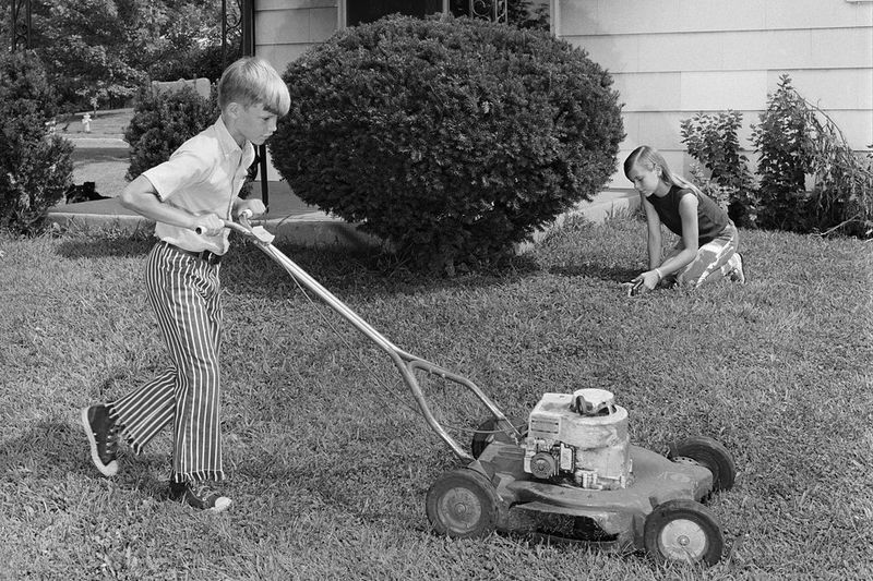 Lawn Mowing Entrepreneur