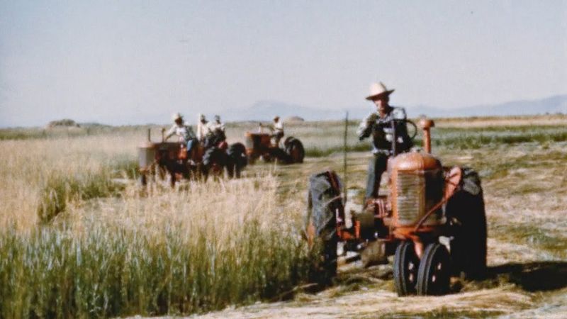 Farm Hand