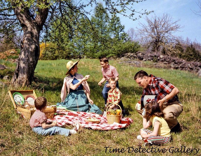 Picnics in the Park