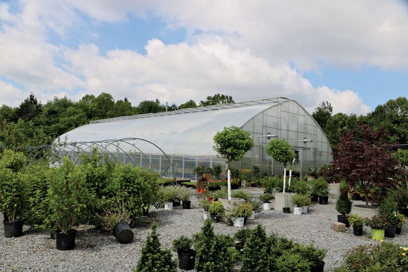 The Garden Center's Seasonal Transformation