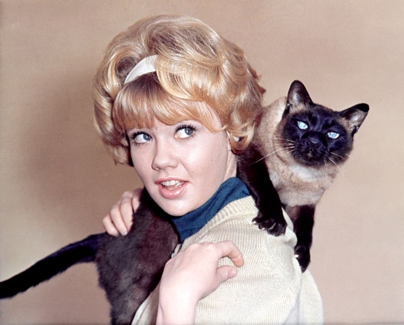Hayley Mills: Disney's Golden Girl