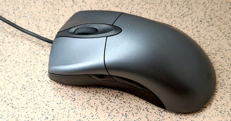 The Mouse Dilemma