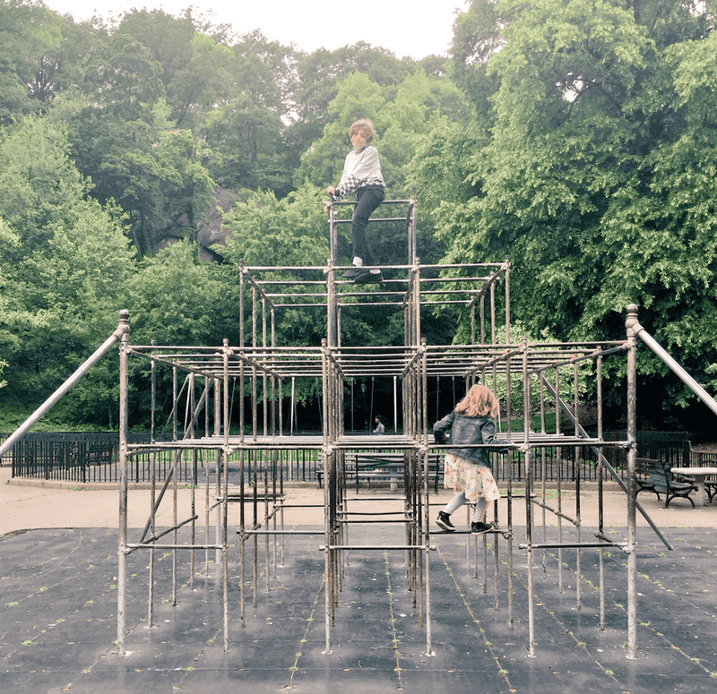 Jungle Gym Face Plants