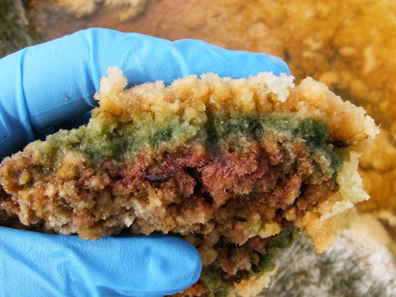 Asbestos Hand Warming Experiments