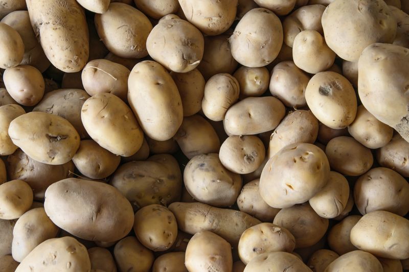 Five Pounds of Potatoes