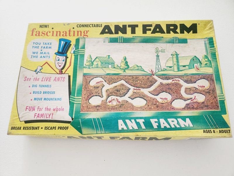 Miracle Ant Farm That Became a Ghost Town