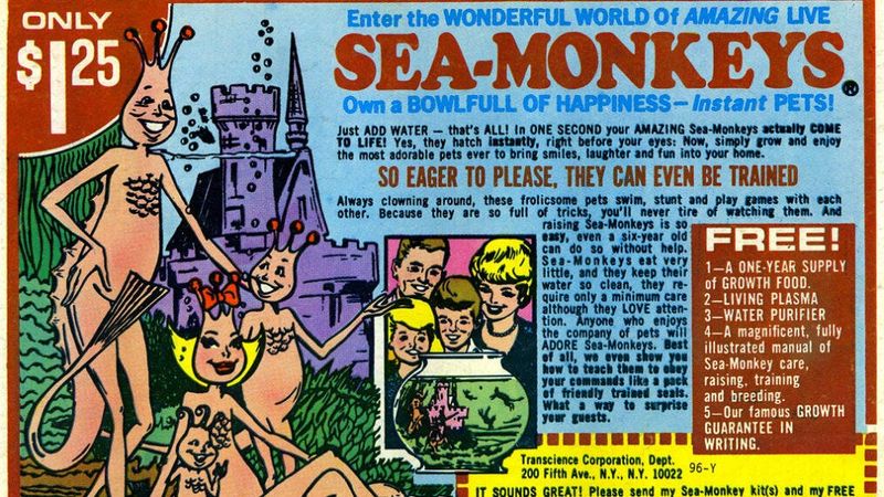 Sea Monkeys: Brine Shrimp in Disguise